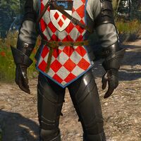 The image features Geralt of Rivia in elaborate armor standing on a dirt path. He has long white hair, yellow cat-like eyes, a scar across his left eye, and a stern expression. His attire includes a vivid red and white checkered tunic with a blue border, worn over full plate armor. The center of the tunic displays a coat of arms in the shape of a shield. It’s split into two panels. The upper panel has a blue castle bridge on a black background. The bottom panel shows an upside-down triangle made up of red diamonds on a white background. His arms and legs are covered with detailed, metallic armor accentuated by brown straps. He stands confidently against a background of green foliage and a rustic stone wall.