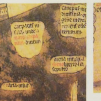 2 portions of the Hereford World Map featuring drawings of a mermaid and a mammal. 